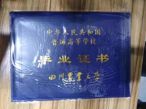 上海法律专业成人高考学校,上海政法学院成考报名办法、时间及地点能否详细介绍？(图2)