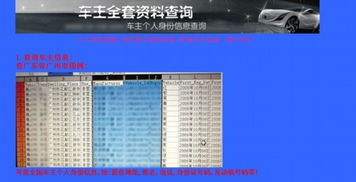 怎么查车主信息