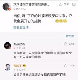 南北方大比拼,介个东西南方完胜 