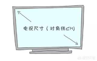 客厅宽4.6米安装多大的电视好