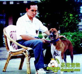 政要的宠物情缘 泰国国王普密蓬和他的 通丹
