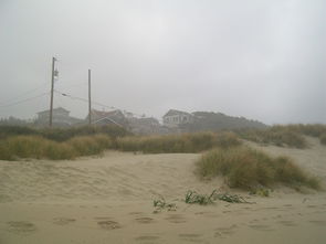 海滩,沙,草,海洋,海岸,俄勒冈,桑迪,旅游,岸,海岸线 