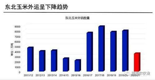 权威查重软件的发展趋势与未来展望