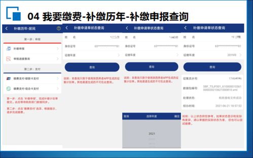 交养老保险费下哪个app,城乡居民养老保险在手机上怎么缴费