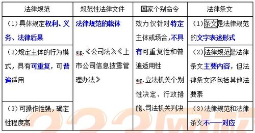 有法律条文规定，公司一定要拥有会计吗？刚成立的小公司是否可以无专业财务人员？