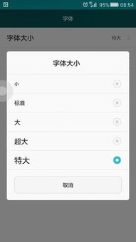 **字体大小可以调整吗？