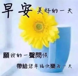 放宽心,来听听梦想的声音,你一定会走的比梦想更远,早安