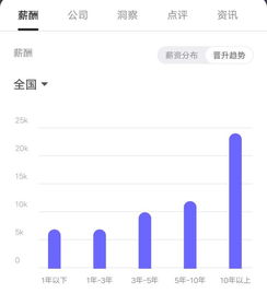 软件公司的售前顾问待遇如何，这个职位的前景怎么样？