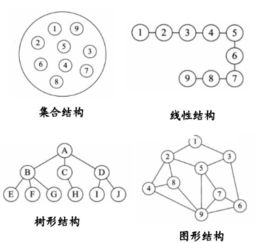 数据的逻辑结构主要有哪三种 各有何特点 三者之间存在怎样的联系 