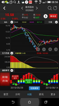 这个主力控盘怎么什么都没有？是什么意思？