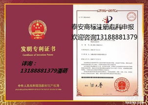 专利申请袁辰亮-专利申请的程序(二)
