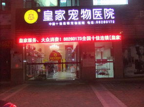广东中山市哪里有好点的宠物医院 