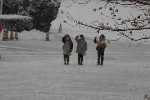 最美不止下雪天,更有那些 扫雪人