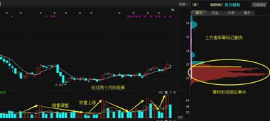 股票重组上会流程是怎样的?日期是多长时间?