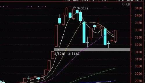 今早九点二十买入了一支涨停的股票什么时候能成交呀