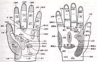 都说盘核桃好,其实核桃也不是瞎盘的