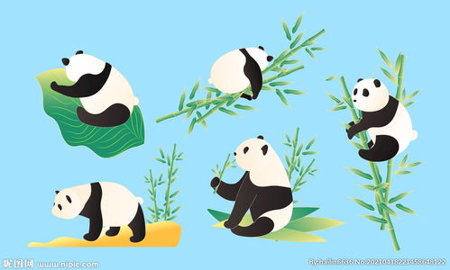 熊猫插画图片 