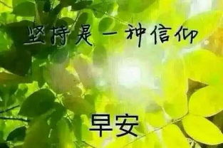 祝福的话语,句句暖人心 祝福高考加油的句子(精选66句)