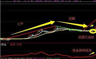 怎么样在网上进行股票买卖？