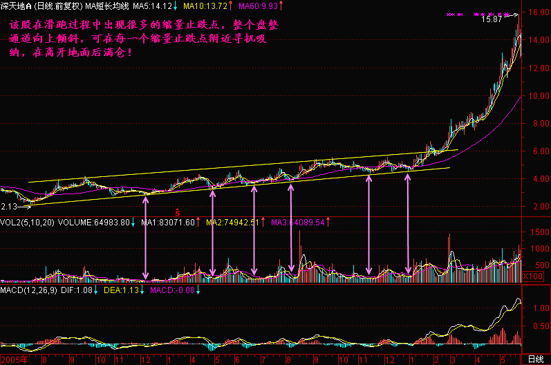 股票跌了好些天后，缩量缩到20分钟才出现一笔交易，这是什么情况，搞的跟停牌了一样