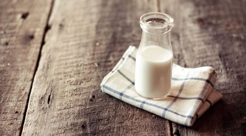 中医为什么不主张喝牛奶 可能很多人不知道原因,看完或许就懂了