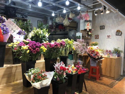 长春花卉市场
