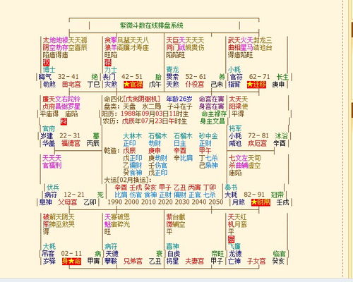 请高人指点 这里是我的紫薇排盘 麻烦高人指点一二 小弟不胜感激 