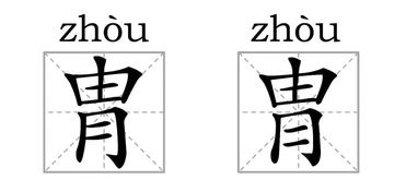 汉字中的双胞胎,我不信你看完不晕 赶紧来长知识吧