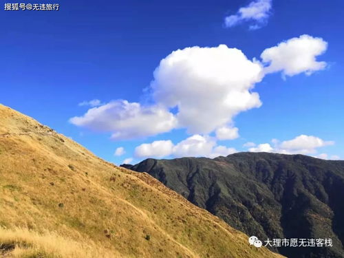 徒步大理苍山十九峰之莲花峰,累并快乐着