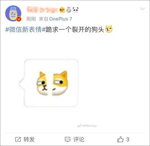 表情署名怎么弄好看点？表情包怎么加署名(表情包带名字怎么弄的)