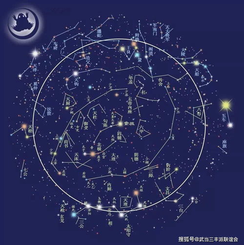 徐静观紫微斗数（徐静观紫微斗数手稿：解读星象，预测命运）