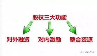 股权融资中的股权八条线5%，10%，33%.什么意思