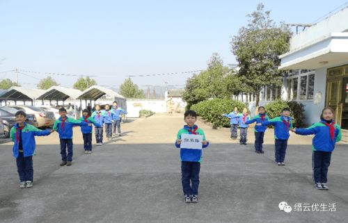 创意十足 缙云县团结小学 我为学校道路来命名