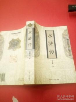 中国古典小说名普及版书系 水浒传