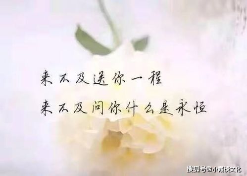 一句简单伤感的心情说说,句句戳心入骨,戳中了无数人的泪点