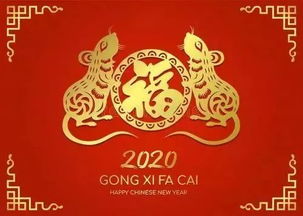 麦玲玲讲2020年生肖运势,这几个属相明年将行大运