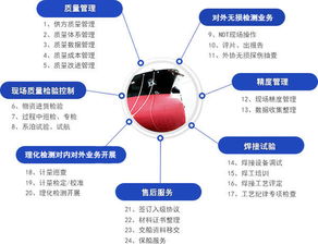 房地产公司具体做些什么工作 