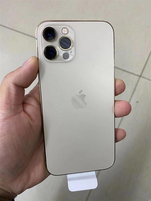 苹果 iPhone 12 Pro 银色版真机图片曝光