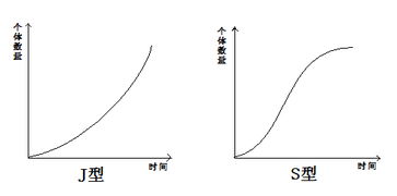 J形曲线增长率不变而S形曲线增长率开始不断增大而后不断降低，但二者的曲线为什么开始的部分是重合的啊？