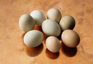 端午节光一箱箱送鸡蛋 存放的讲究你都GET了吗 送亲友鸡蛋时配发这条更贴心 