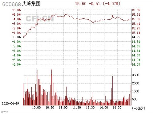 尖峰集团的公司是什么？