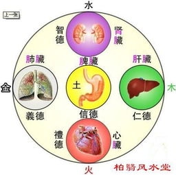 柏翳 yi 风水堂 阴阳五行与中医的养生是怎样的