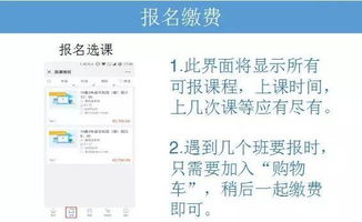 期中怎么才能考好,请收下这份复习攻略