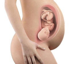 孕期最后一个月,这4项检查对胎儿很关键,孕妈别偷懒