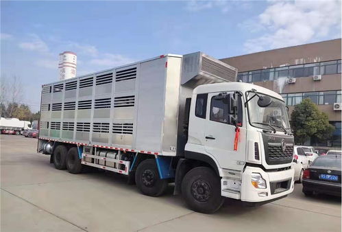 畜禽运输车高品质产品雏禽专用运输装备 