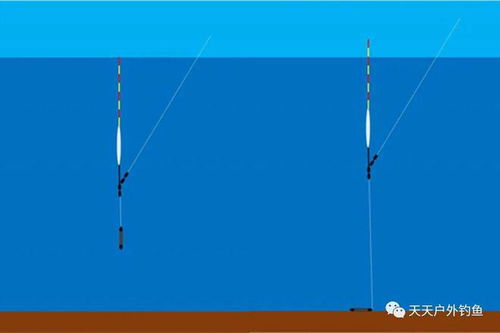 野钓黄尾鲴,常用的3种调漂方法,钓不到鱼,基本都是调漂不当