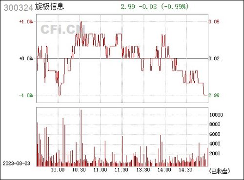 旋极信息 300324