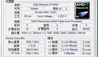 谁能帮我评价CPU 