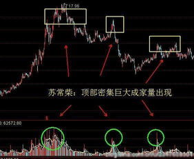 如何选股：散户如何去精准捕捉股市大行情