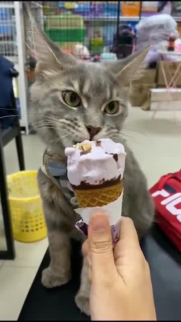 突然发现小怪兽爱吃冰淇淋 